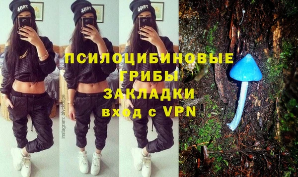 МДПВ Армянск