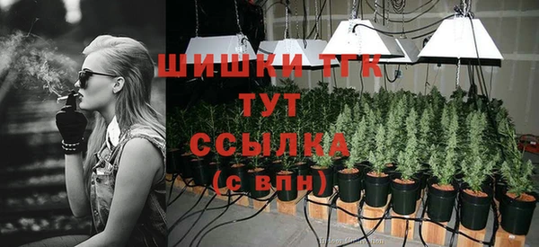 гидропоника Арсеньев
