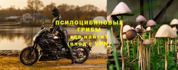 гидропоника Арсеньев